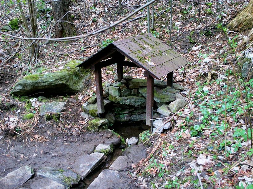 studánka bez jména (11235)