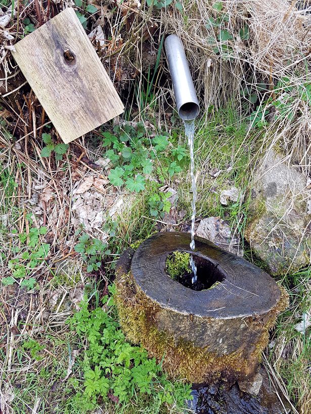 studánka Nad Dolním Chlumem (11241)