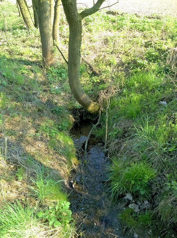 studánka Kabát (11245)