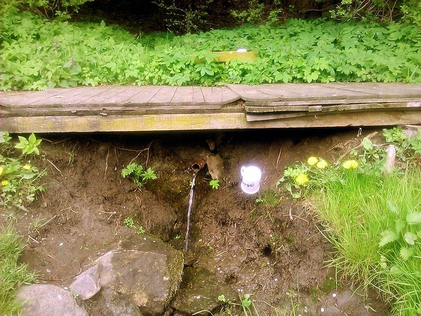 studánka bez jména (11258)