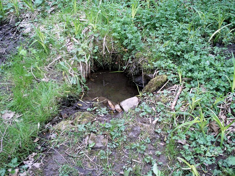 studánka bez jména (11260)