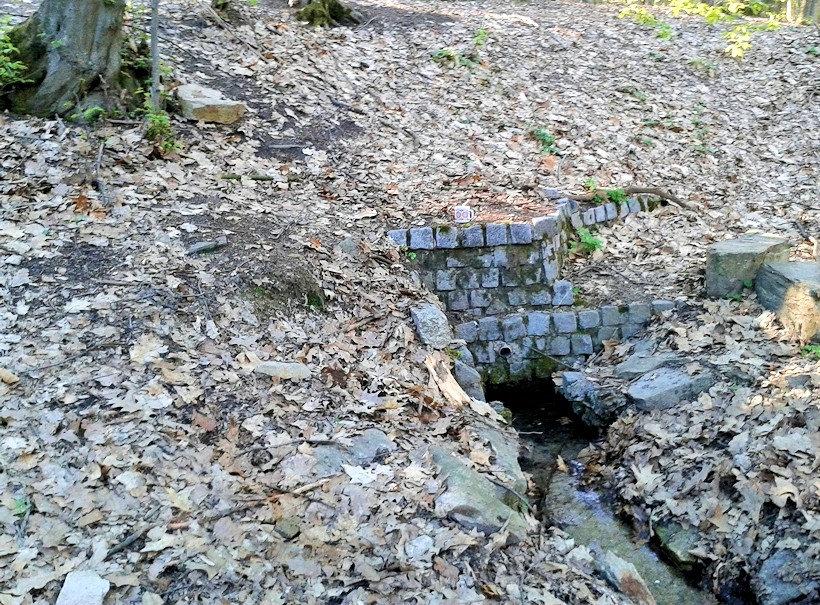 studánka U Památného smrku (11263)