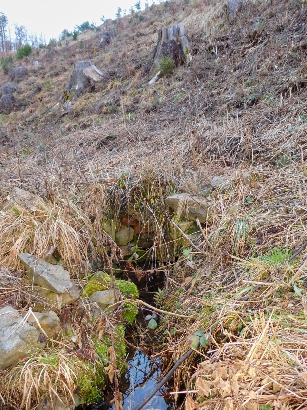 studánka Martálka (11273)