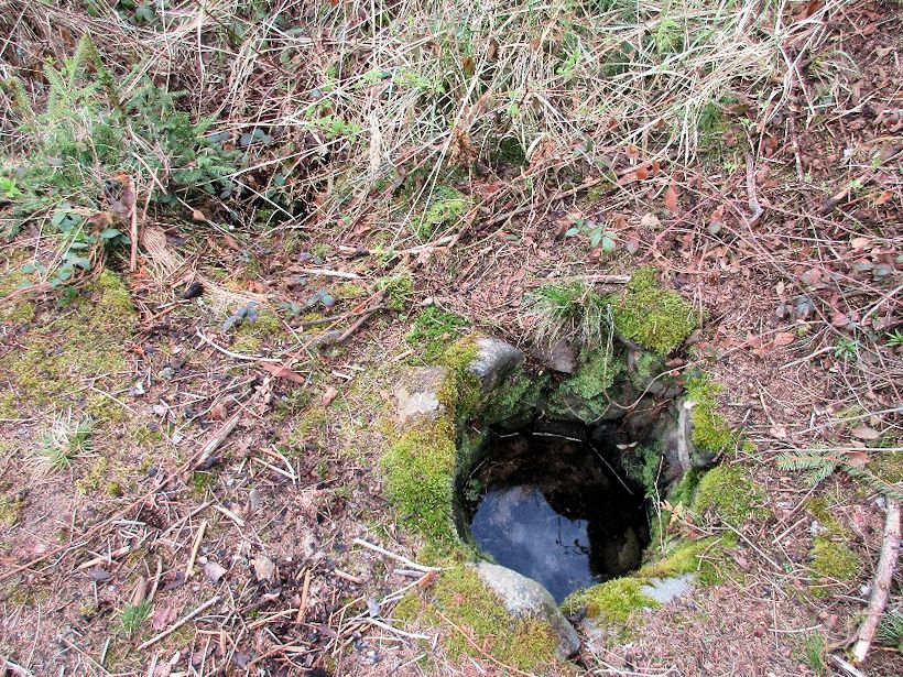 studánka bez jména (11282)