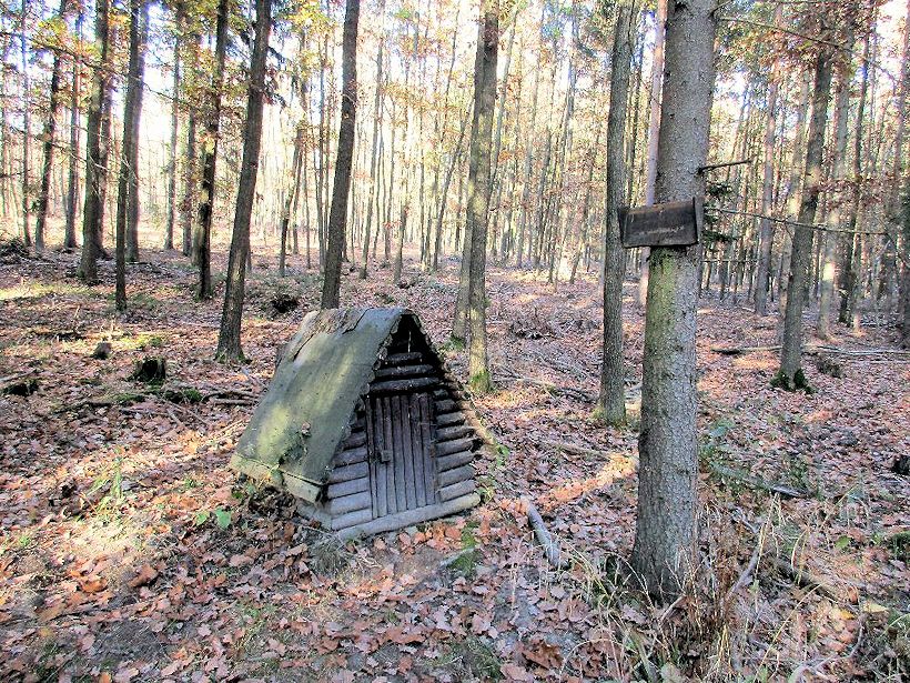 studánka bez jména (11283)