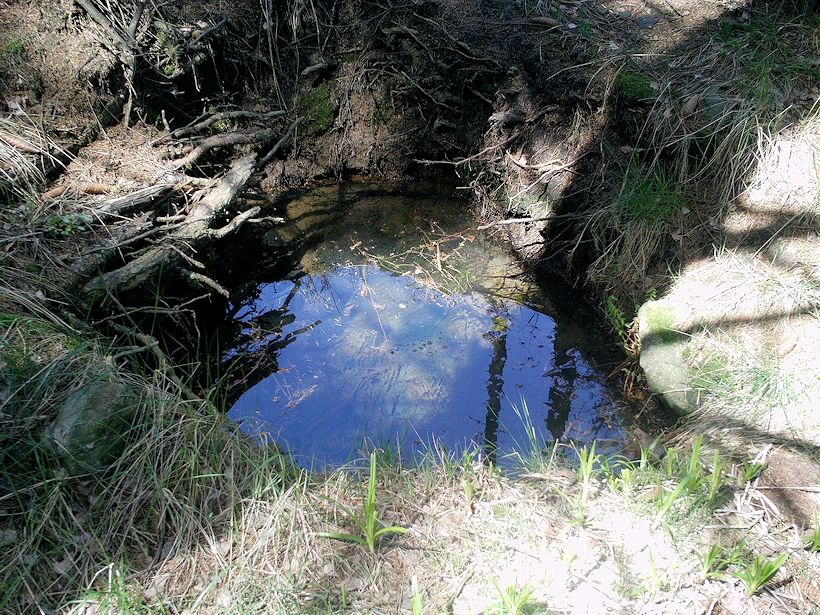 studánka bez jména (11291)
