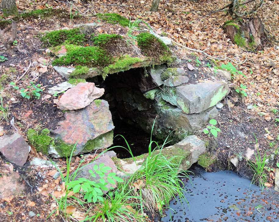 studánka Rysová (11292)