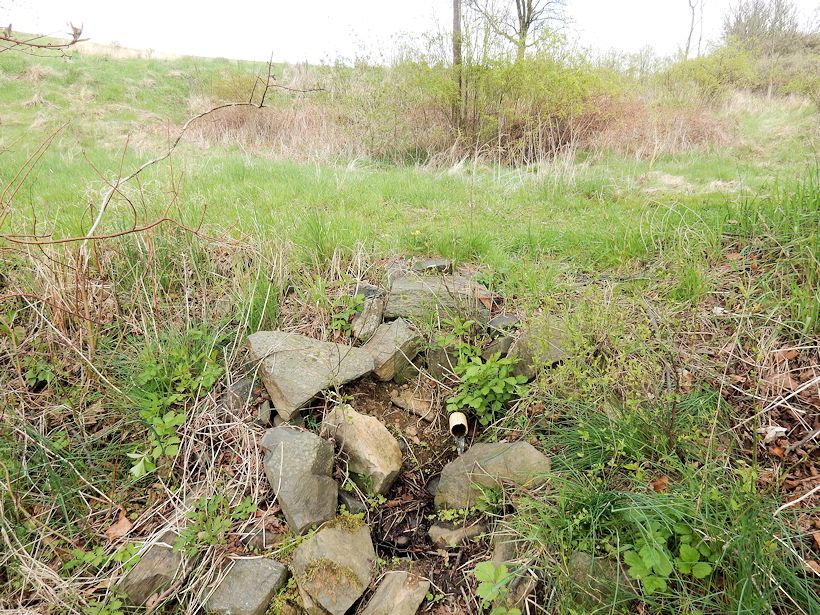 studánka U Skalského dvora (11296)