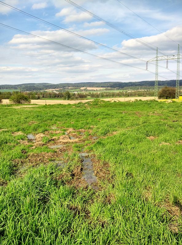 prameniště Pod autodromem (11297)