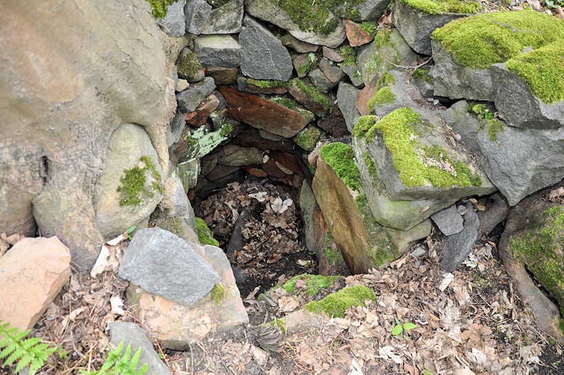 studánka Zapomenutá (11301)