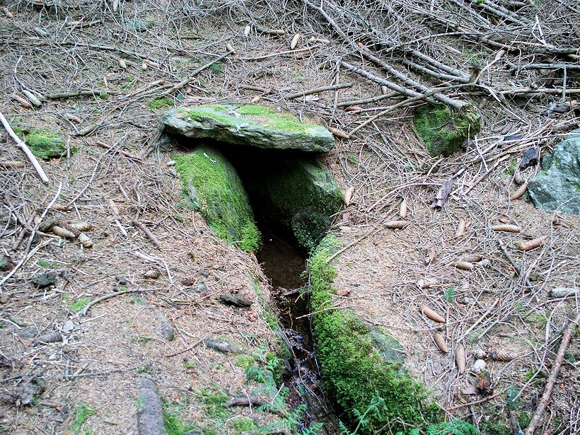 studánka Jelení skok (11312)