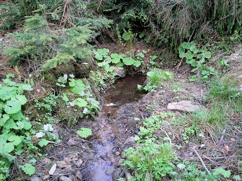 studánka bez jména (11319)