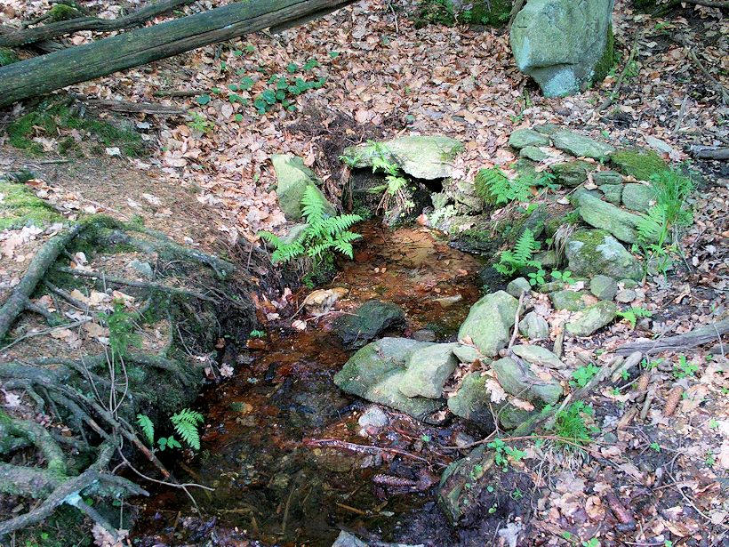 studánka bez jména (11320)