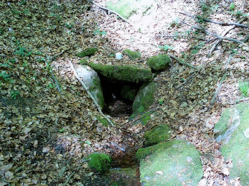 studánka bez jména (11321)