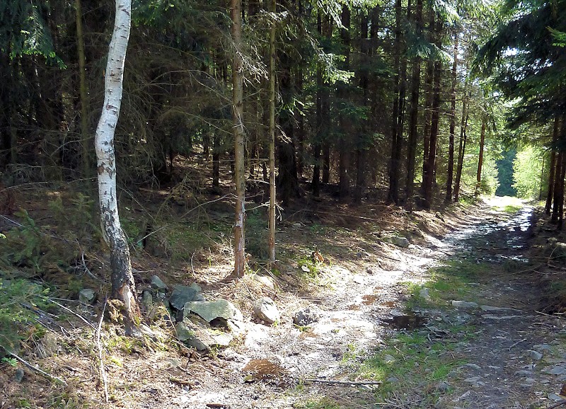 studánka Pod Klondajkem 3 (11323)
