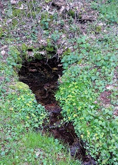 studánka Ludmila (11326)