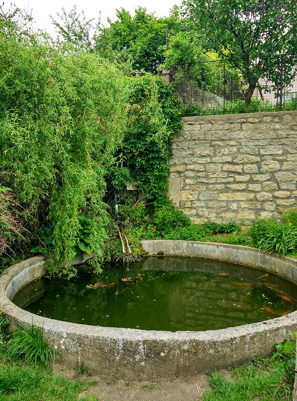 jiný vodní zdroj Máchadlo u sv. Václava (11328)