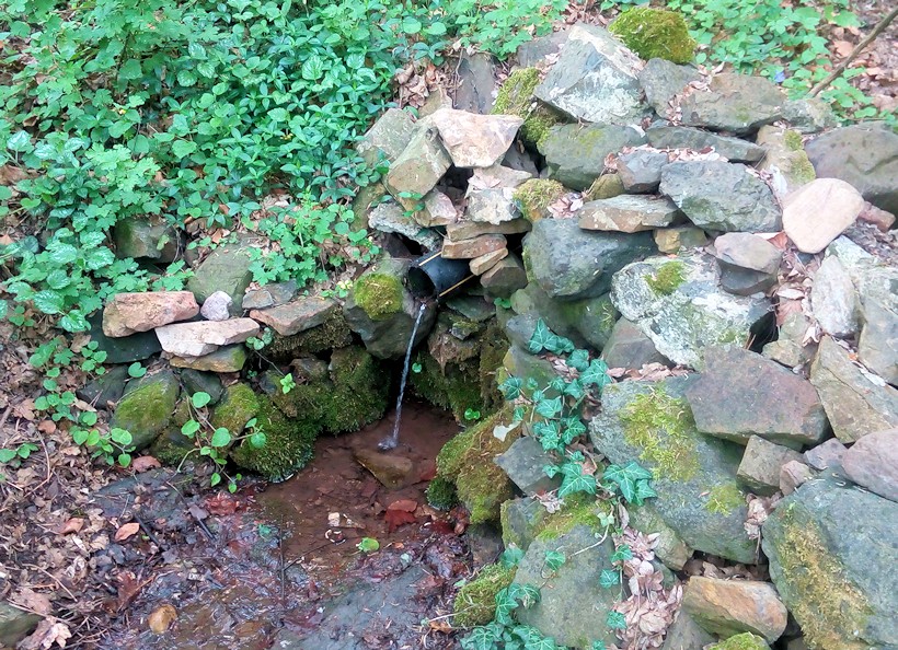 studánka Nad farmou I (11337)