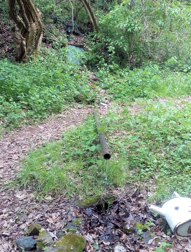 studánka Nad farmou II (11338)