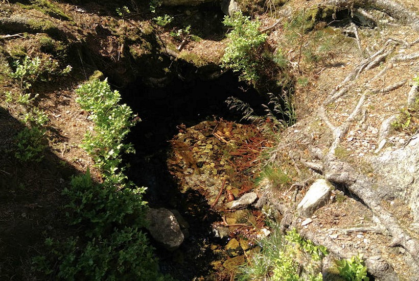 studánka U Kubíčků (11341)