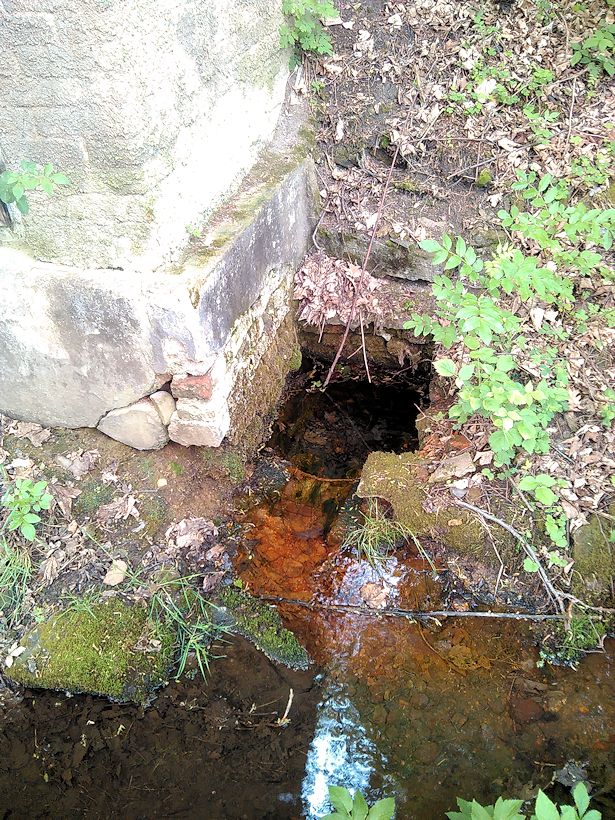 studánka bez jména (11357)