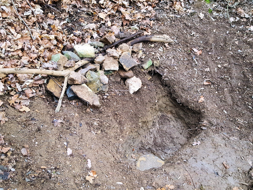 prameniště bez jména (11359)