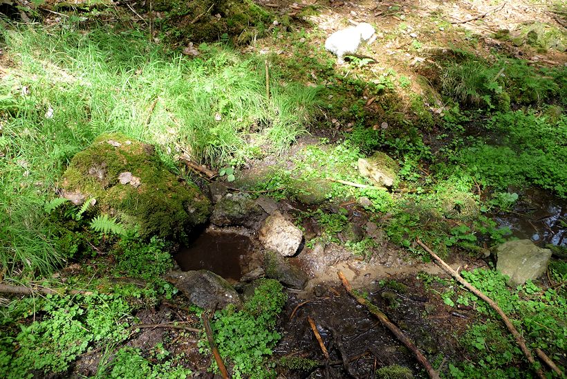 studánka Pod Spáleništěm 1 (11373)