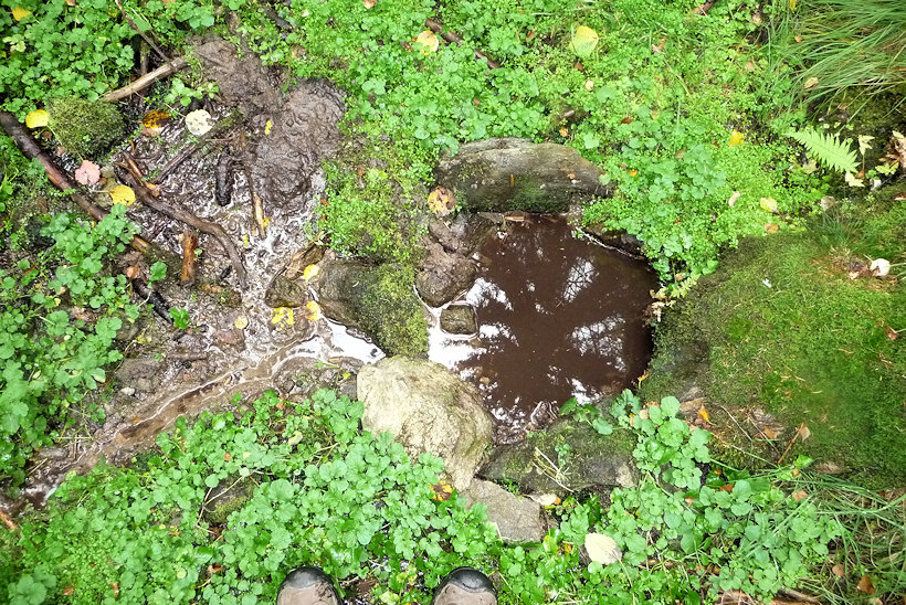 studánka Pod Spáleništěm 2 (11374)