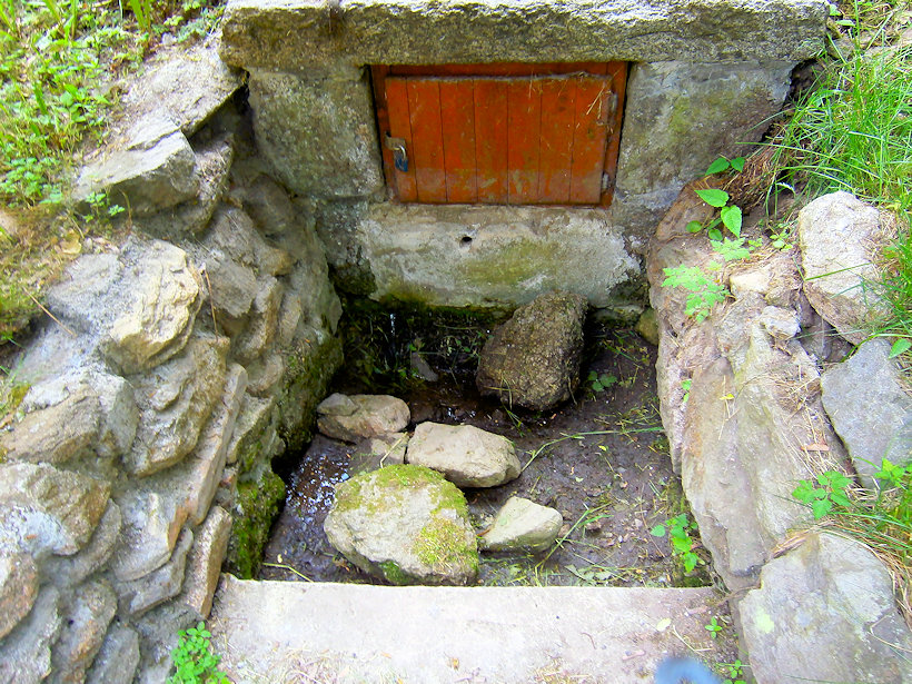 studánka bez jména (11378)