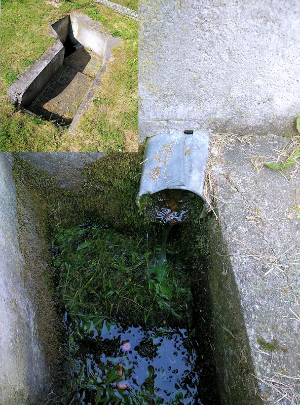 studánka Pod Panským vrchem (11385)