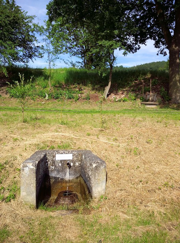 studánka U Kršňáků (11386)