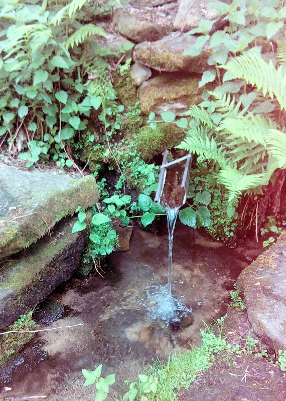 studánka Pod Jasanem (11389)