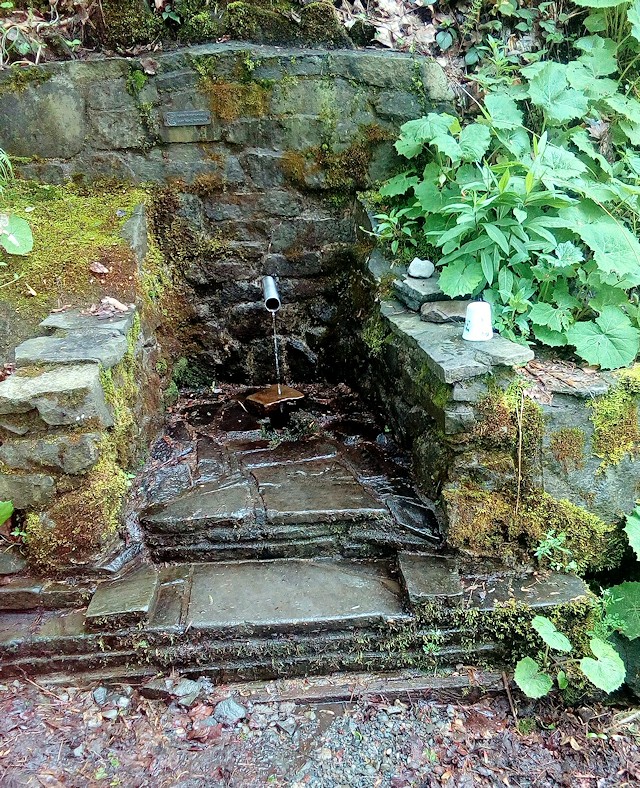 studánka Pod Filipkou (11393)
