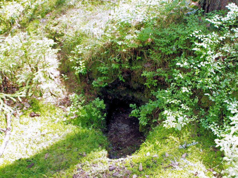 studánka Nad Křížkem (11404)