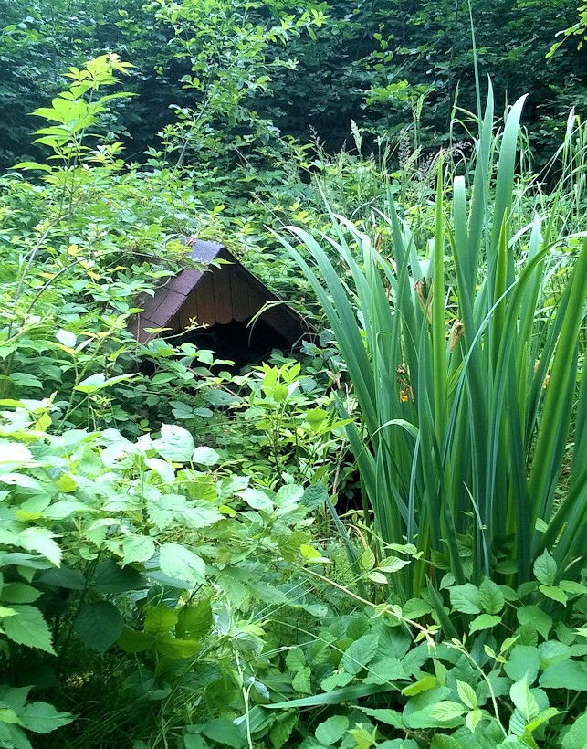 studánka K Jahodovci (11414)