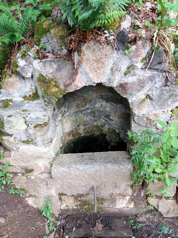 studánka V botanické zahradě  (11425)