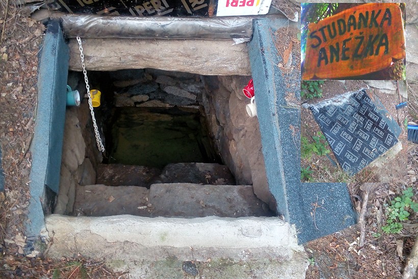studánka Anežka (11428)