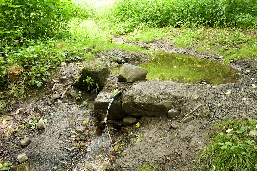 studánka bez jména (11437)