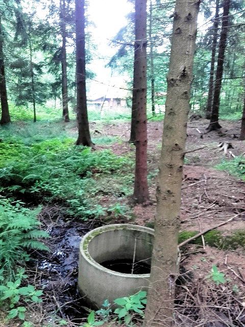 studánka Nad Lovětínským rybníkem (11443)