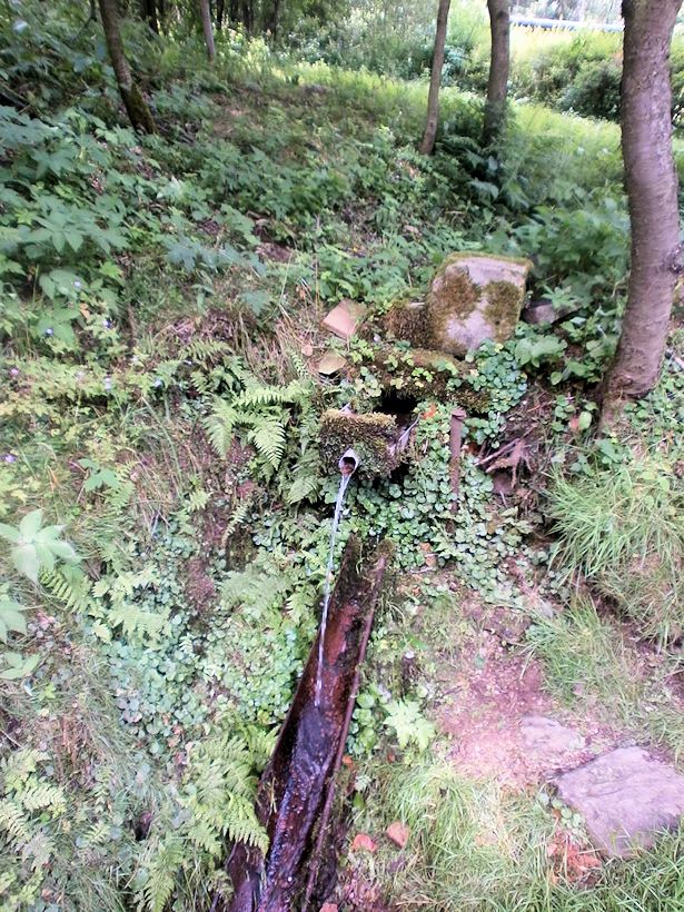 studánka U sjezdovky (11444)