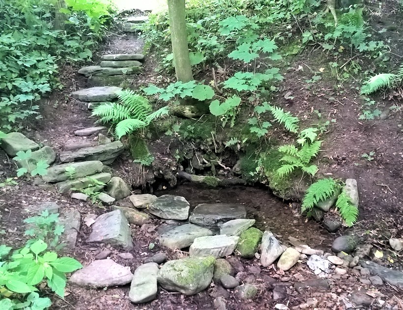 Světlušková studánka (11445)