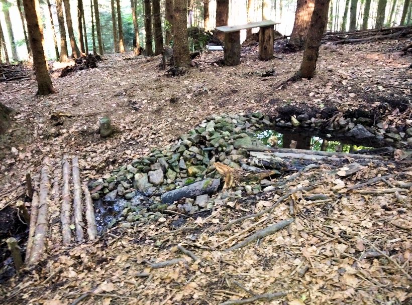 studánka Apolenka (11451)
