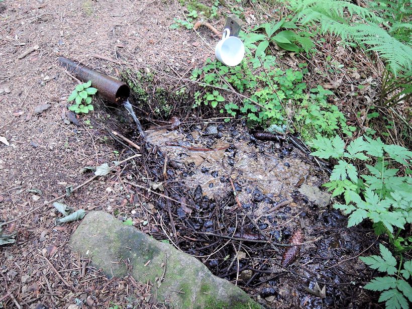 studánka U Albrechtovic (11458)