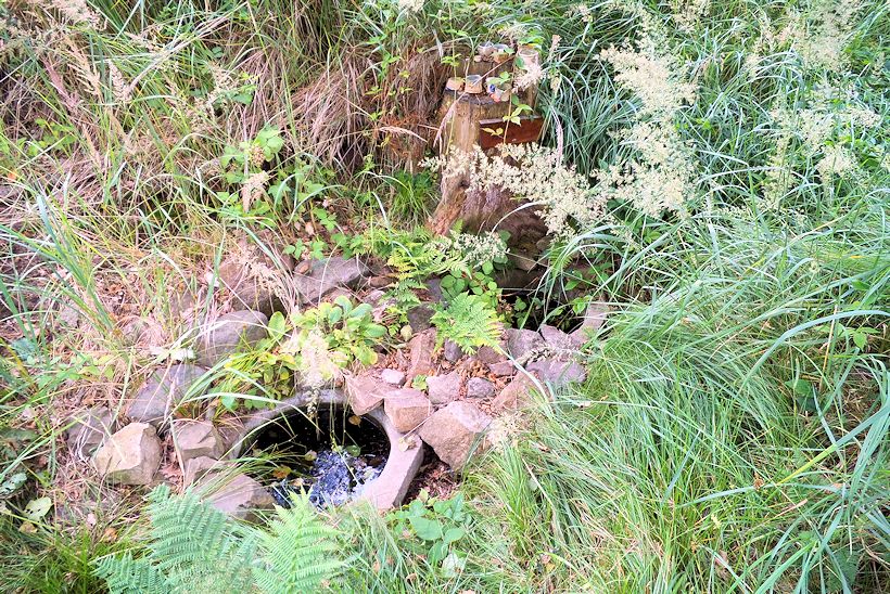 studánka Studánky Palések (11473)
