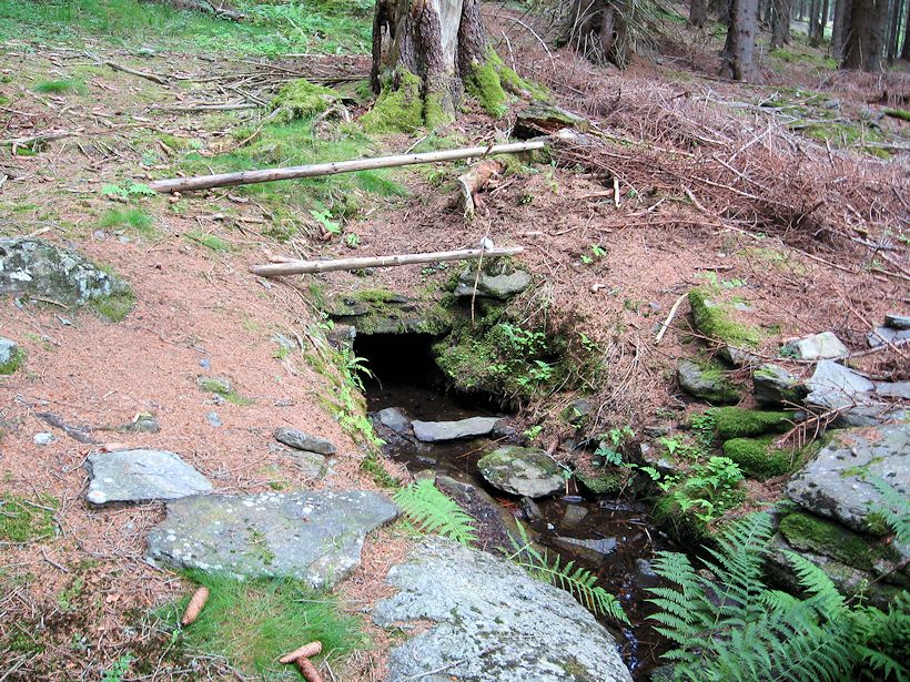 studánka Na Spáleném vrchu (11476)