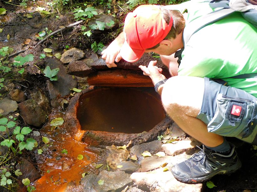 studánka Hanovské kyselky (11481)
