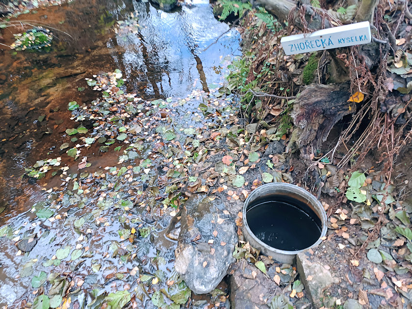studánka Zhořecká kyselka (11482)