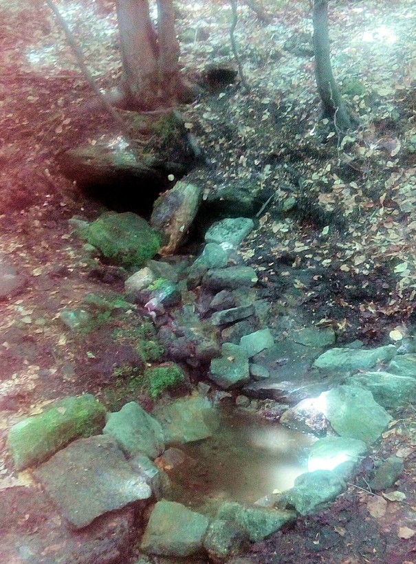 studánka U Turoňů (11502)