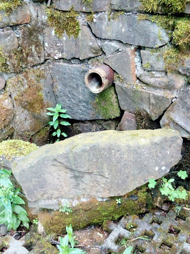 studánka Polanka (11507)