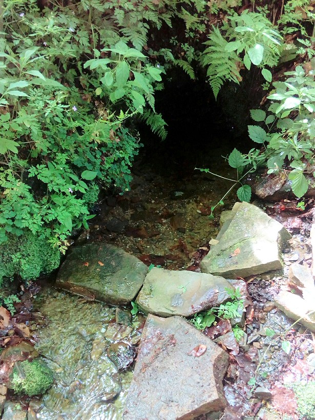 studánka U Kotelnice (11517)